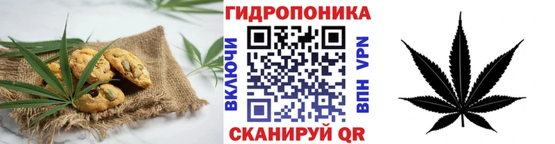 ОМГ ОМГ вход  Харовск  Canna-Cookies марихуана 