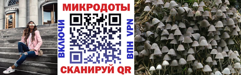 Галлюциногенные грибы MAGIC MUSHROOMS  ссылка на мегу ТОР  Харовск 