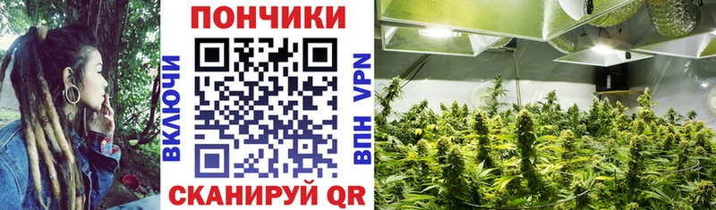МАРИХУАНА ГИДРОПОН Харовск